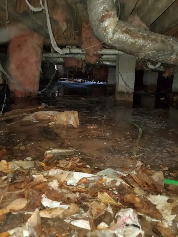 Crawl space flood assessment for Leak Detection & Repair in Frankfort Square
