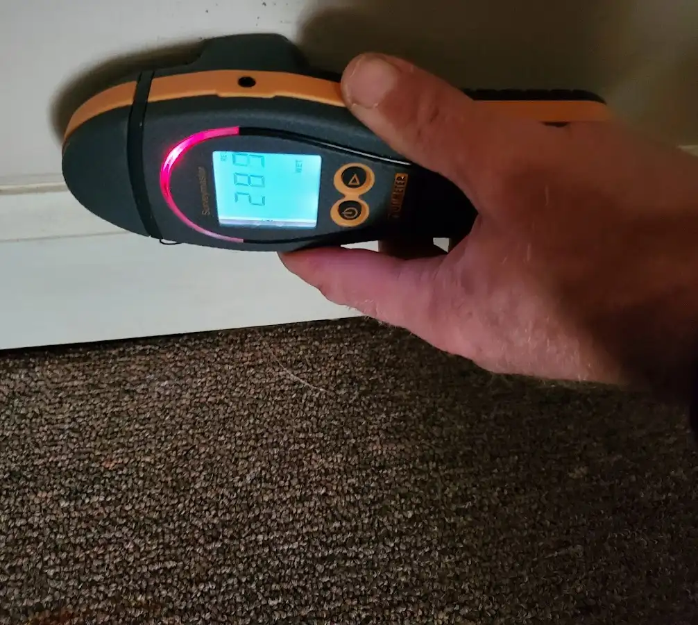 Moisture detection at baseboard during Mold Inspection & Testing in Frankfort Square